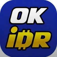 OKIDR - Petualangan Seru di Dunia Aksi